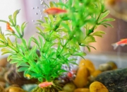 鱼缸过滤棉要垫几层，越多越好吗
