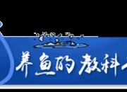 “独居”孔雀鱼为啥接连生小鱼？真相是……