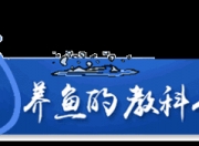 “独居”孔雀鱼为啥接连生小鱼？真相是……