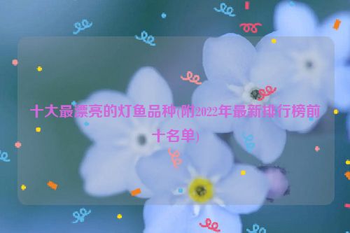 养鱼