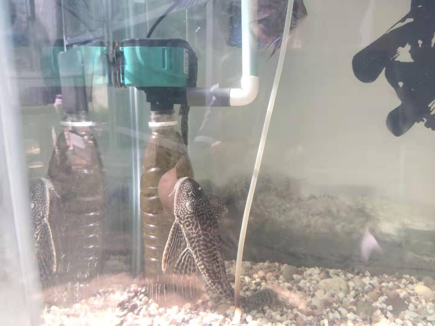 水族知识