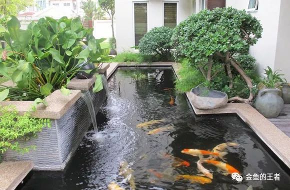 水族知识